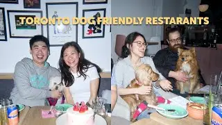 Toronto Hidden Gems • Dog-Friendly Restaurants (Hosting a Surprise Birthday Party)