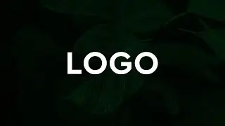 Simple Logo design in 2022