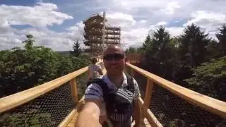 Baumwipfelpfad Saarschleife