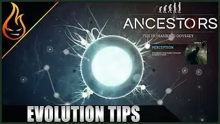 Evolution Tips Ancestors The Humankind Odyssey