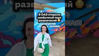 Вот зачем лететь в Абу-Даби! 🇦🇪Парк развлечений 
