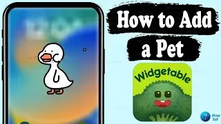 how to have a pet in widgetable on iPhone - take care of a pet in widgetable