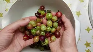 АГРУС ФРІПСИ