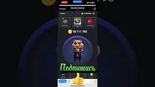 Секретные Карточки Hamster Kombat на 25 июня 24г