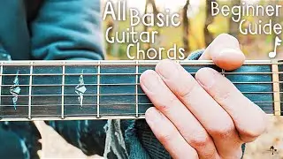 A Guide To All Basic Guitar Chords for Beginners // Lesson #391