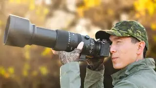 Sigma 60-600mm Lens Review for Wildlife/Bird Photography