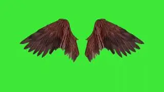 New dark angel wings green screen