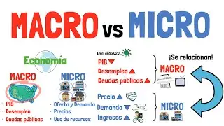 MACROECONOMICS and MICROECONOMICS - Explained for beginners!