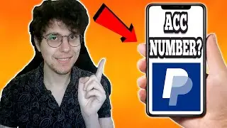 How To Find My Paypal Account Number