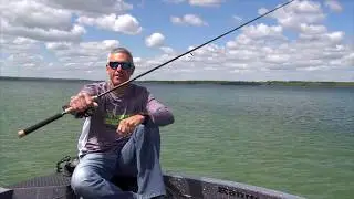 Choosing A Livebait Rod