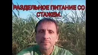 РАЗДЕЛЬНОЕ ПИТАНИЕ СО СТАЖЕМ. Почему я так питаюсь...