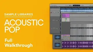 ACOUSTIC POP SAMPLE PACK | Pop Loops and Samples Collection for Music Production