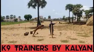 MALINOIS 5 feet high jump at K9 Trainer's by Kalyan || Kakinada || 9491919428 || No 1 Canain Trainer