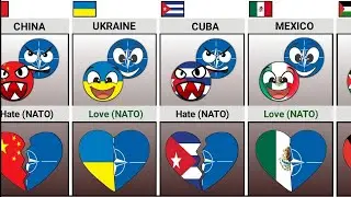 Who Do NATO Hate or Love [Countryballs] | Universe Knowledge