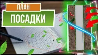 Как распланировать совмещённую посадку овощей и зелени ✔️