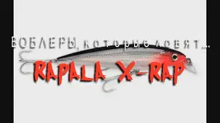 Воблеры которые ловят  Rapala X-Rap лучшие воблеры