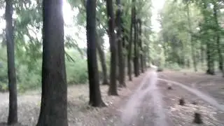По проселочной дороге на велосипеде. Окрестности Лозовой