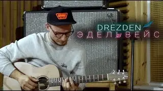 Разбор песни DREZDEN - «Эдельвейс»