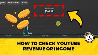 How to View Your YouTube Earnings (Quick & Easy Tutorial)