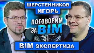 Поговорим за BIM: Игорь Шерстенников | BIM ТИМ экспертиза| XML