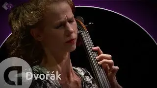 Dvořák: String Sextet in A major, Op. 48 - Harriet Krijgh & Friends - Live Classical Concert HD