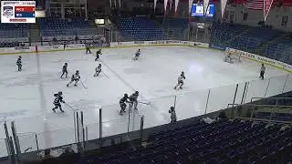 Rhode Island Saints vs Windy City Storm (3rd Period)