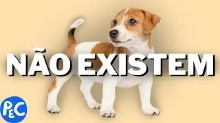 CACHORROS NÃO EXISTEM