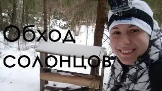 Обход солонцов