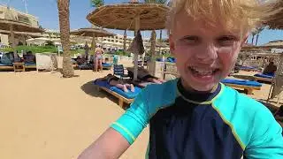 AOneCool в Египте ! Черепаха Cьела Собаку или Как Я Провел Лето !