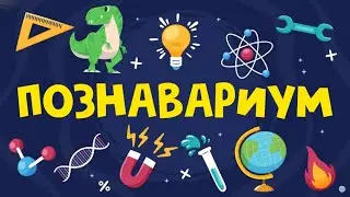 Березинский биосферный заповедник