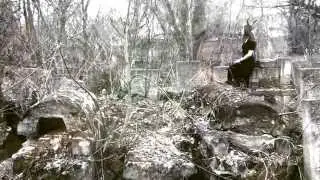Создатель