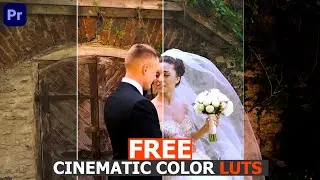 cinematic color luts free download | cinematic color grading premiere pro | color grading