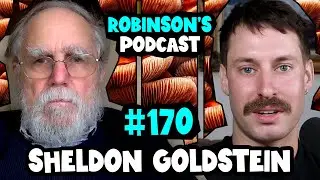 Sheldon Goldstein: Pilot Wave Theory and Bohmian Mechanics | Robinson's Podcast 