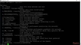 Using the vm support Tool