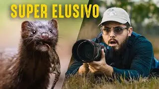 Cómo logré fotografiar a este animal tan RARO en los Everglades 😱📸