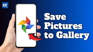 How to Save any Pictures from Google Photos to Gallery