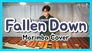 Undertale OST - Fallen Down (Marimba Cover)