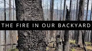 The Fire in Our Backyard - Eagle Creek Fire 360 VR Documentary