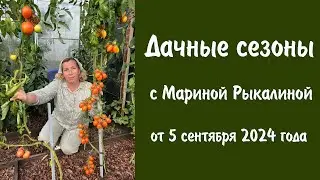 Дачные сезоны с Мариной Рыкалиной от 5 сентября 2024 года