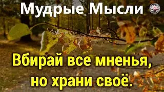 Красивые Цитаты про Жизнь | Живи со Смыслом