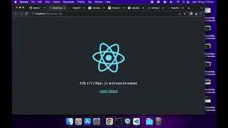 CakePHP 4 - Embedding a Create React App in a View (Development Setup)