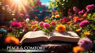 Peace & Comfort || Worship Instrumental for Prayer, Devotional, Relaxation with 📙 Biblical Texts