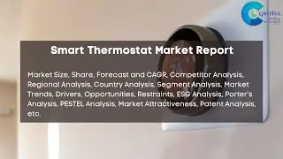 Smart Thermostat Market Report 2024| Forecast, Industry Trend,share Price,Market Size & Growth