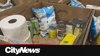 Demand up, donations down at Surrey Food Bank ahead of school year