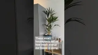 Improving energy efficiency with smart house plants