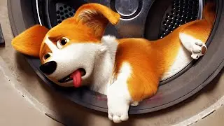 THE QUEENS CORGI Clip - Laundry Room (2019)