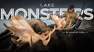 Alaska Moose Hunt - GIANT DIY Bull Moose & BONUS Black Bear | THE ADVISORS : Lake Monsters Part 2