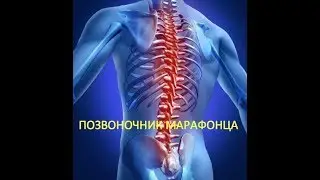 #23. Позвоночник марафонца