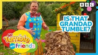 Autumnal Moments 🍂 | Grandad Tumble Gets Buried in Leaves?! | Mr Tumble and Friends