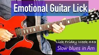 Fill You Lick Bag With Emotion and Variation - Lick Friday Week 443